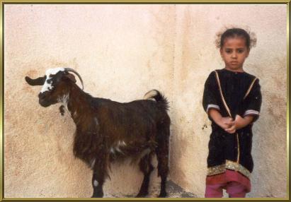 Ein kleines Mdchen htet die Ziege in dem Ort Quriat