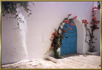 Typisches Tor in Sidi Bou Said