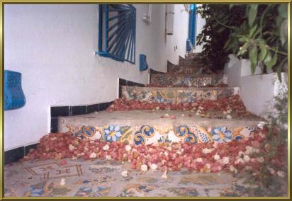 Sidi Bou Said - vergessene Bougainvilleen