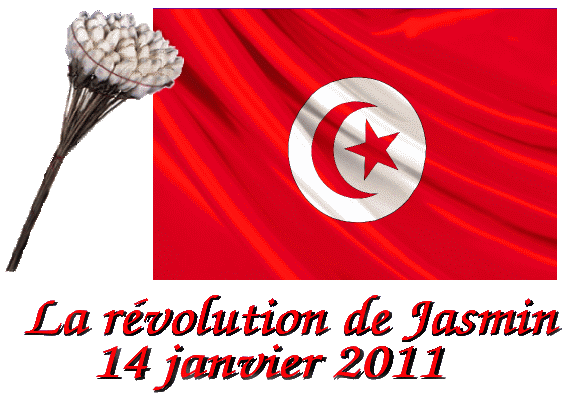 La rvolution tunisienne de Jasmin - 14 janvier 2011 --- Die tunesische Jasmin-Revolution - 14. Januar 2011